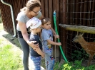 Przyroda widziana oczami przedszkolaków