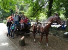 Wycieczka do wrocławskiego ZOO 