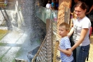 Wyprawa do ZOO i Afrykarium